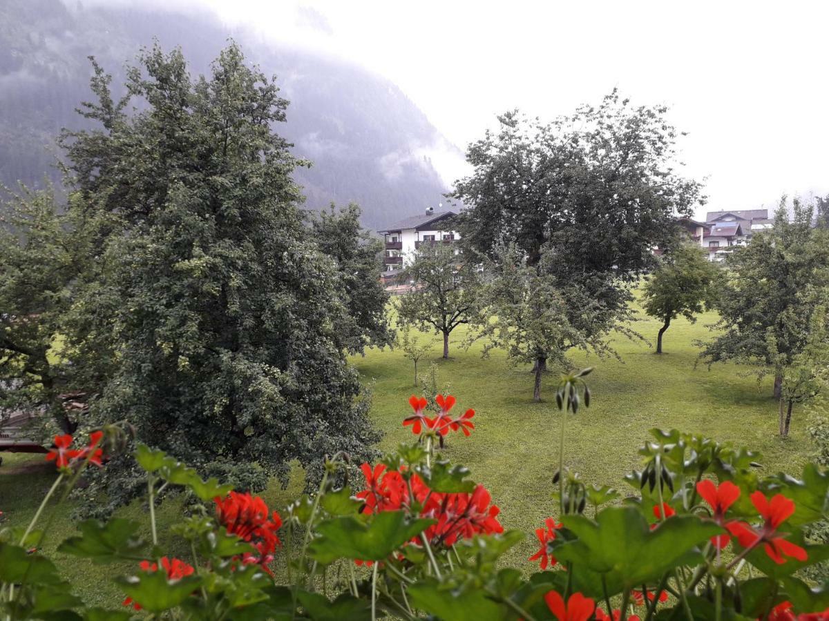 Nieslerhof Villa Mayrhofen Ngoại thất bức ảnh